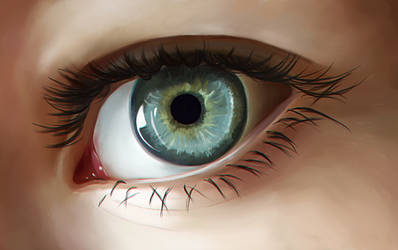 Eye