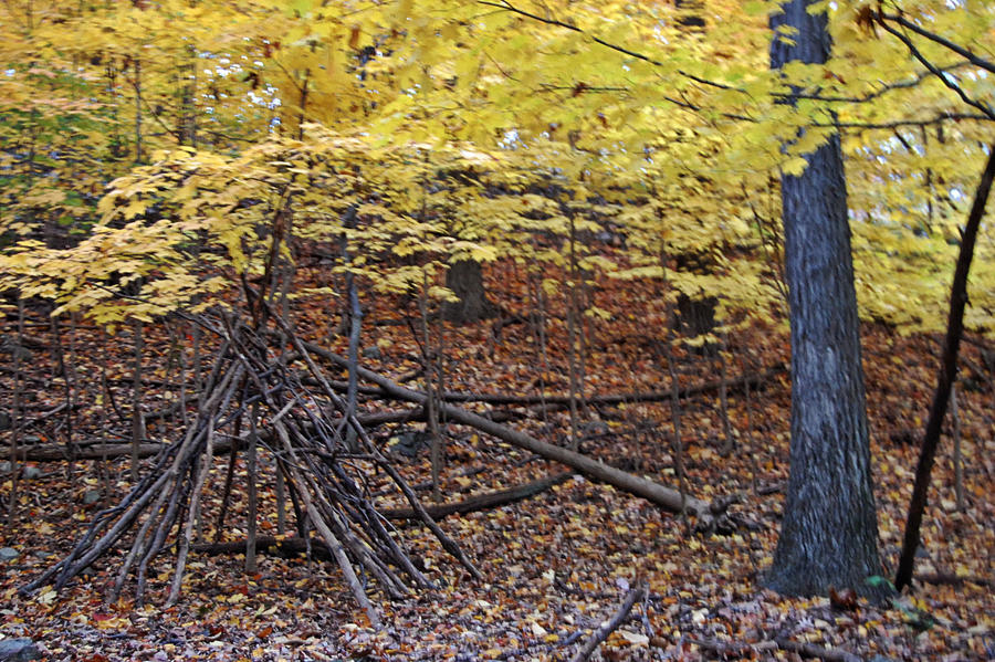 William Paterson Fall '10 2 by XxsacredheartxX on DeviantArt