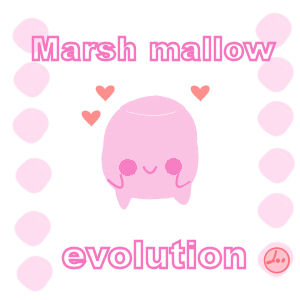 marsh mallow evolution