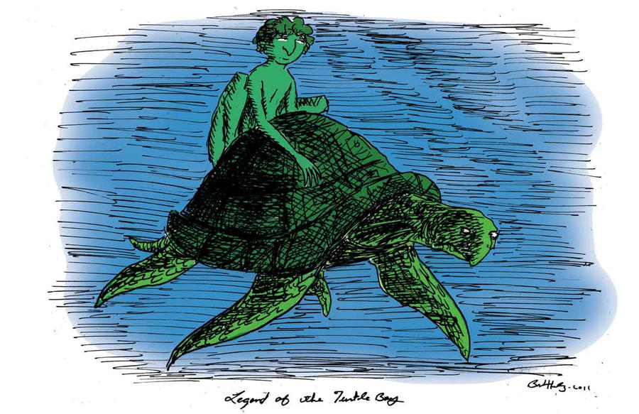Turtle Boy Script Legend of the Turtleboy by herbertzohl on DeviantArt