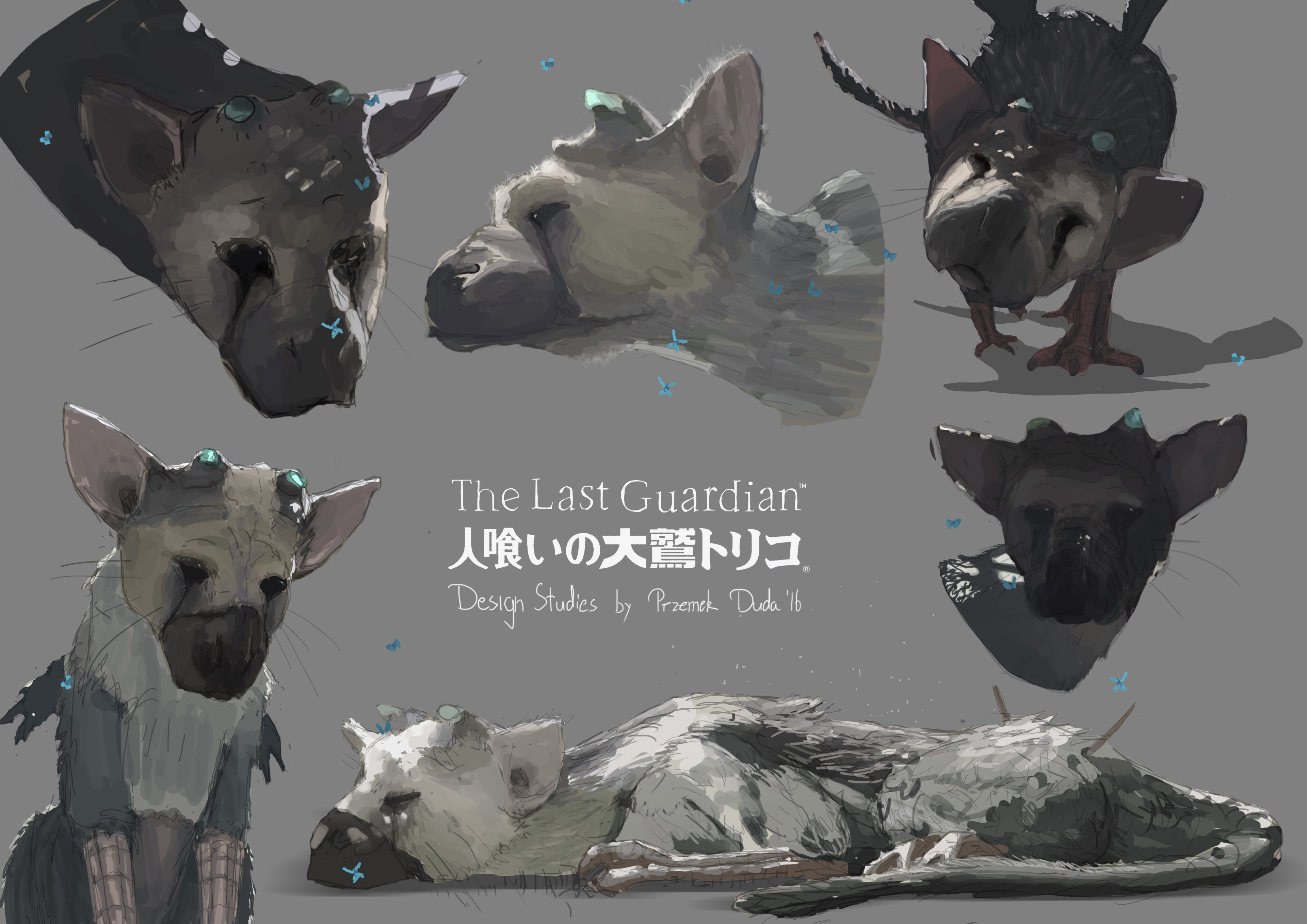 Last Guardian Sketches