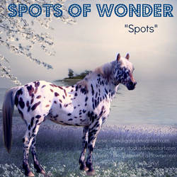 Spots of Wonder manip