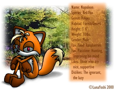 Naku Profiles: Napoleon