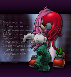 Sonic: Knux-- don't ever leave me again!