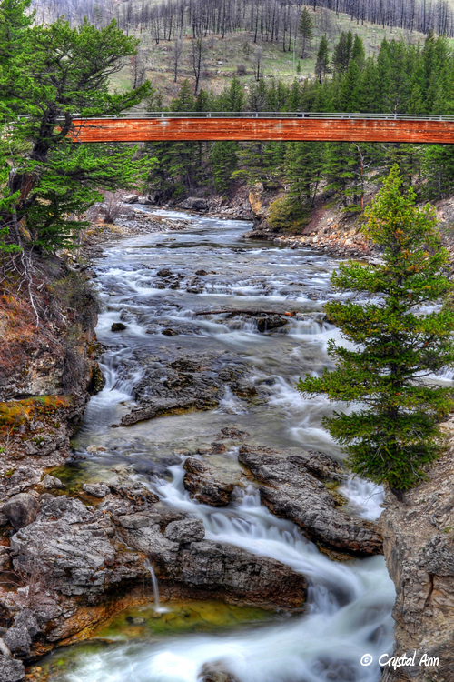 Natural Bridge Falls 1488