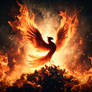 Flaming phoenix #2 03753