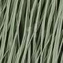 Fibers Seamless Grass