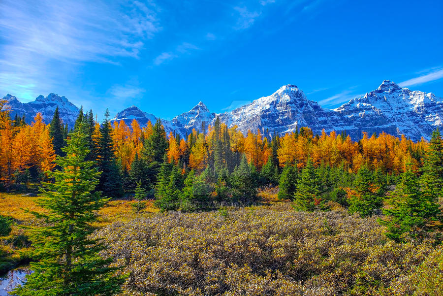 Fall Banff Backgrounds Banff National park during autumn, Alberta, Canada by artdigitly on ...