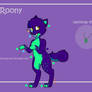 Roony (new ref)