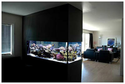 Wall Aquariam Wall Fish Tank Wall Mounted Aquarium By Gamilaalex20 fish tank wall mounted aquarium