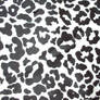 leopard texture 1