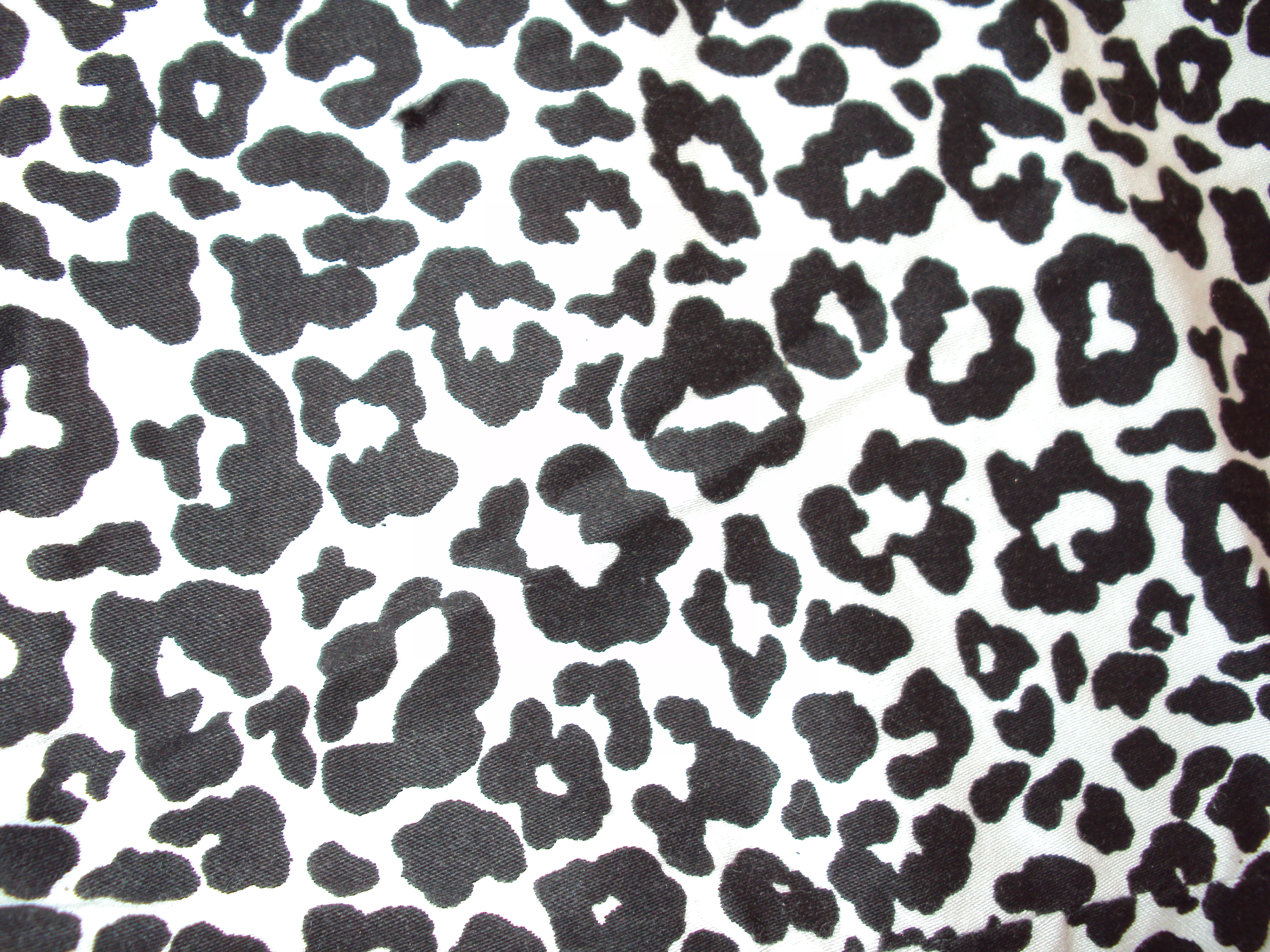 leopard texture 1