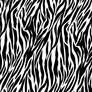 zebra print texture