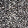 another leopard texture