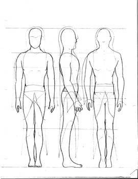 Study of the Male Body 1