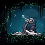 Hollow knight