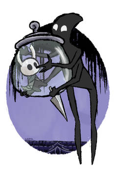 Hollow knight