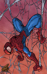 Colors Spider-Man