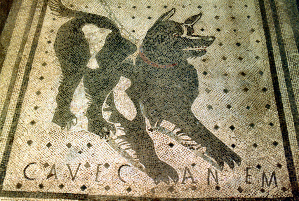 Cave Canem By Tonc On DeviantArt cave-canem-by-tonc-on-deviantart