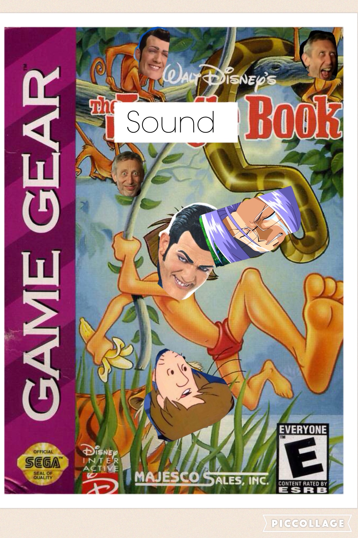 The Sound Book