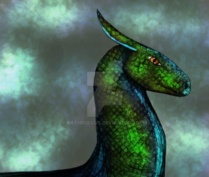 drake by Pathroclus on DeviantArt
