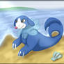 Popplio - Pokemon Sun and Moon Starter 2