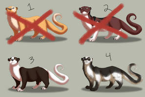 St Madai's Otter ADOPTABLES: 2/4 AVAILABLE