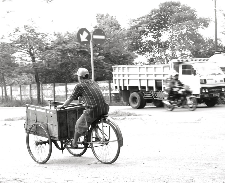 Fancy A Ride Fancy a ride? by firioo on DeviantArt
