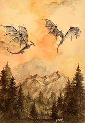 Dragons in the sky