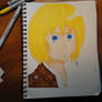 WIP - Armin