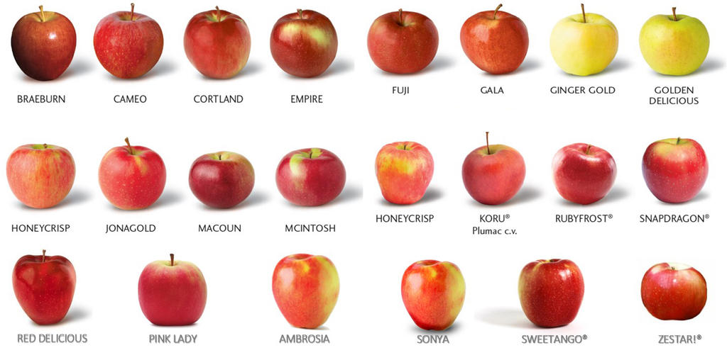 Types Of Apples List And Pictures