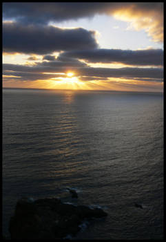 Puppy Point - Norfolk Island