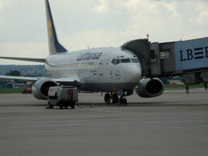 Lufthansa Airbus