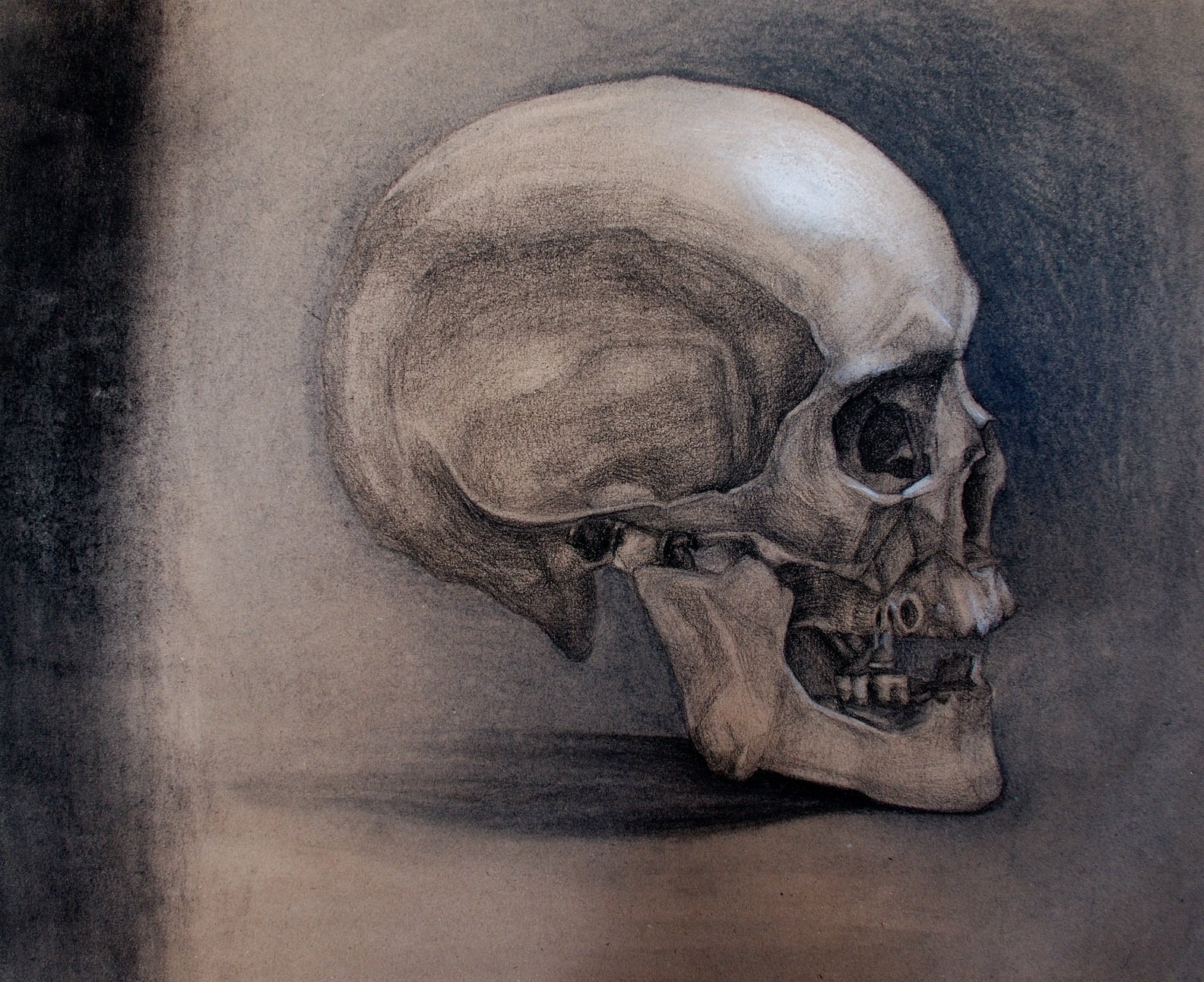 The skull II