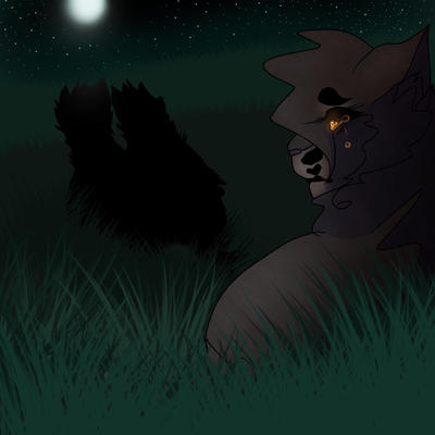 Nightcloud Draw nightcloud by MossDraws on DeviantArt