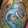 Peacock