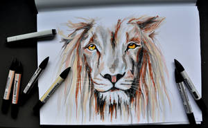 Lion with markers