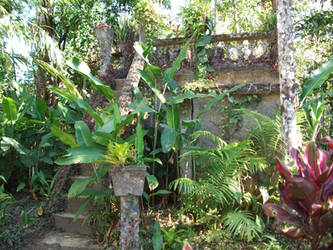 Abandoned Building