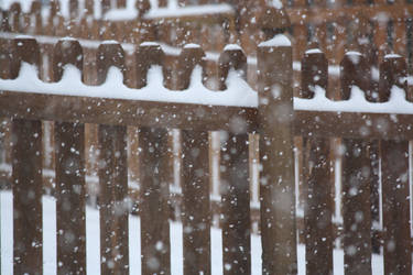 Fence In The Snow