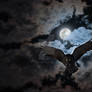 Full moon-