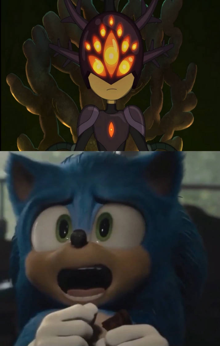 BOOYAH MEME Animation [REMAKE] Sonic and Shadow the Hedgehog FLASH WARNING  