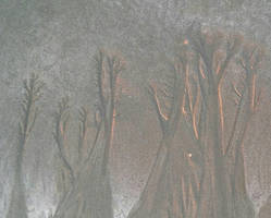 Sand Forest