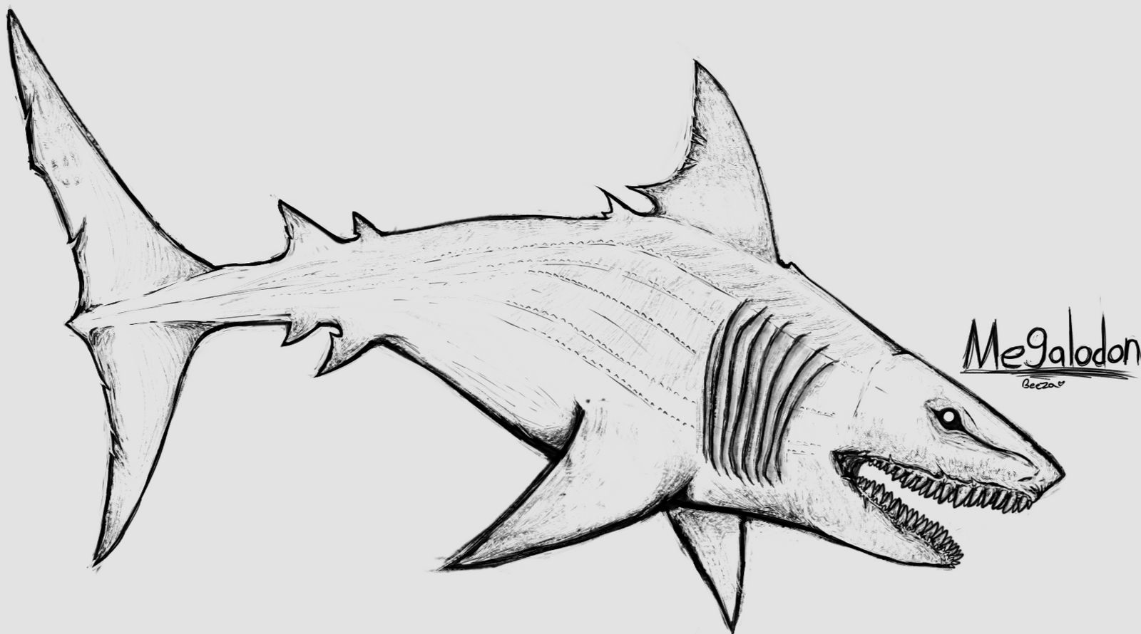 Megalodon Design by BeezaLuv on DeviantArt