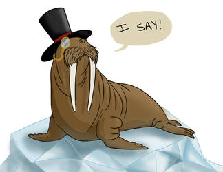 Fancy Walrus