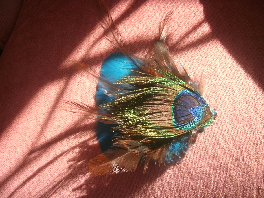 Peacock feather hair clip