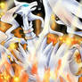 Reshiram on Fire