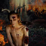 The Demon Dweller Endeavor