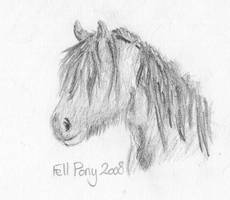 Fell Pony