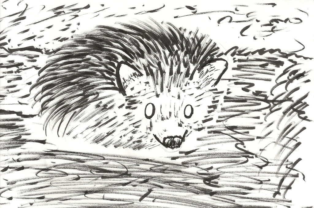 Brush Hedgehog