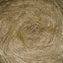 Hay Texture